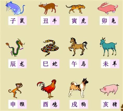 12生肖年龄|【十二生肖年份】12生肖年齡對照表、今年生肖 